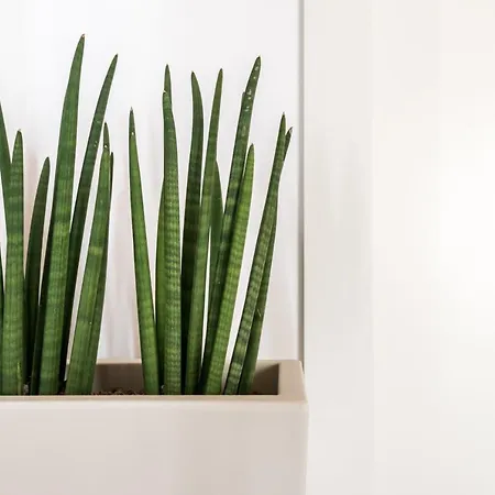 Guest house Aura - Iblea Ragusa