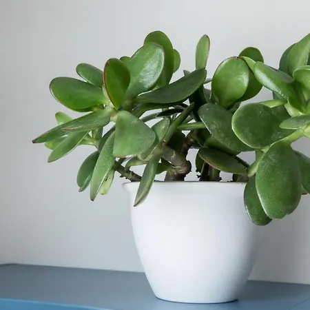 Guest house Aura - Iblea